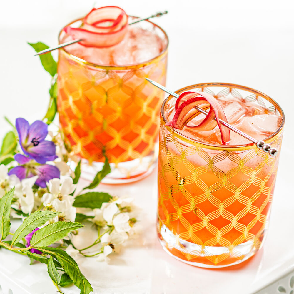 Rhubarb Vodka Shrub Spritzer Recipe The Feedfeed