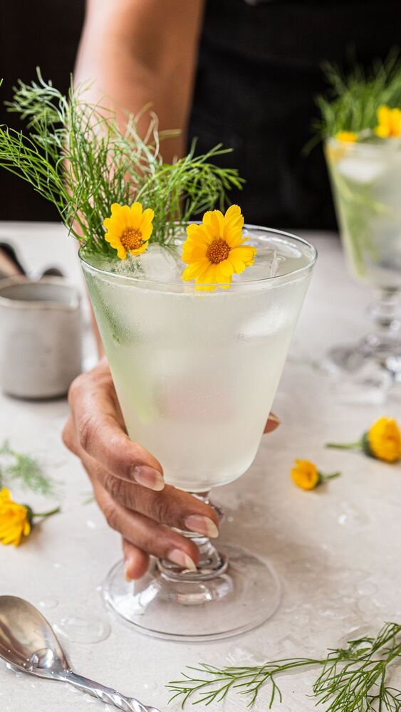 How to Make a Fennel Yuzu Cocktail Video Recipe The Feedfeed