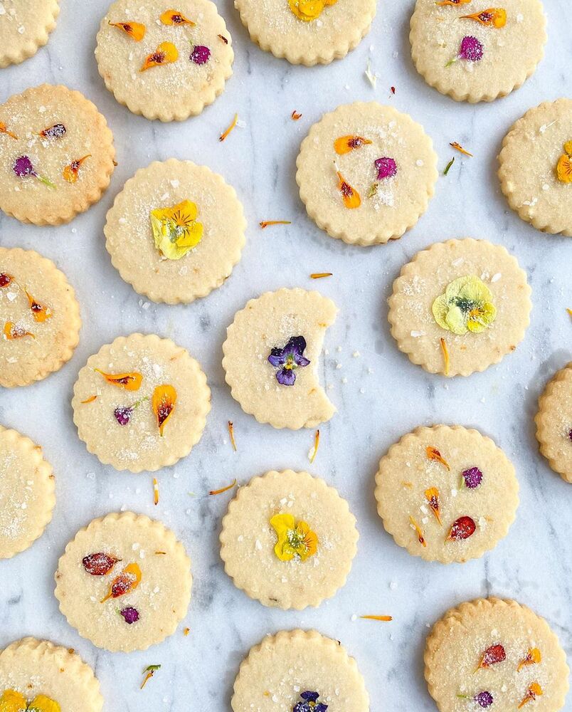 100+ of the best Edible Flowers Recipes Recipes on The Feedfeed