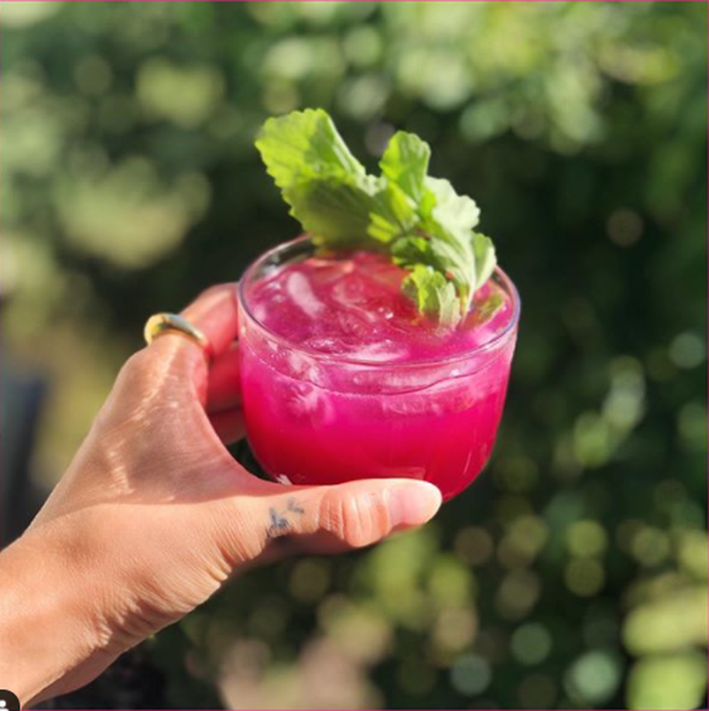 Beet & Sumac Vodka Cocktail Recipe The Feedfeed