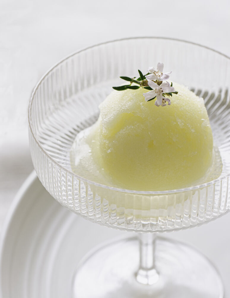 MEYER LEMON SORBET Recipe The Feedfeed