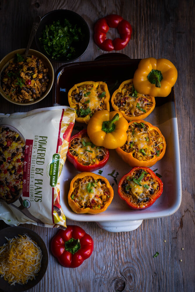 500+ of the best Vegetarian Dinners Recipes on The Feedfeed