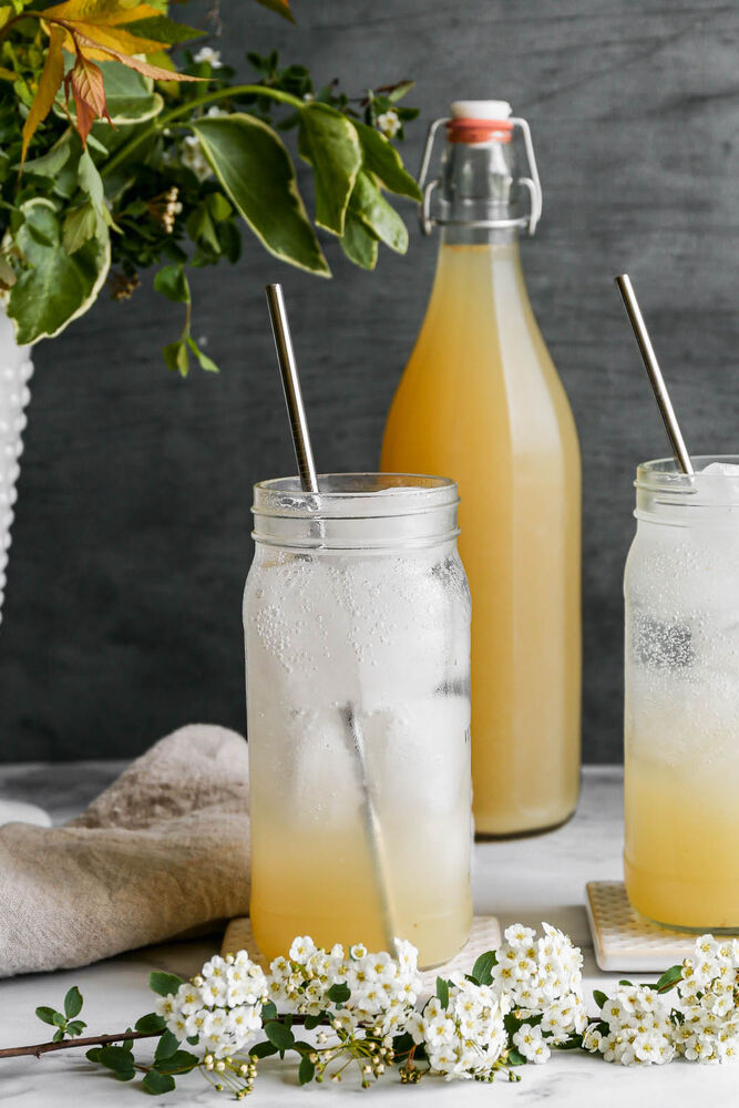 Instant Pot Ginger Ale Syrup Recipe The Feedfeed