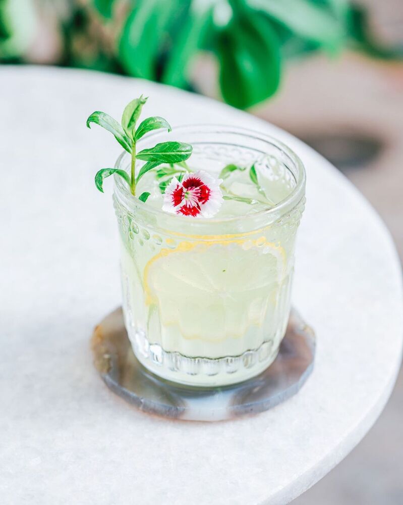 Tarragon Collins Recipe The Feedfeed