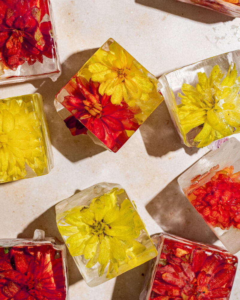 Edible Flower Ice Cubes Video Recipe The Feedfeed