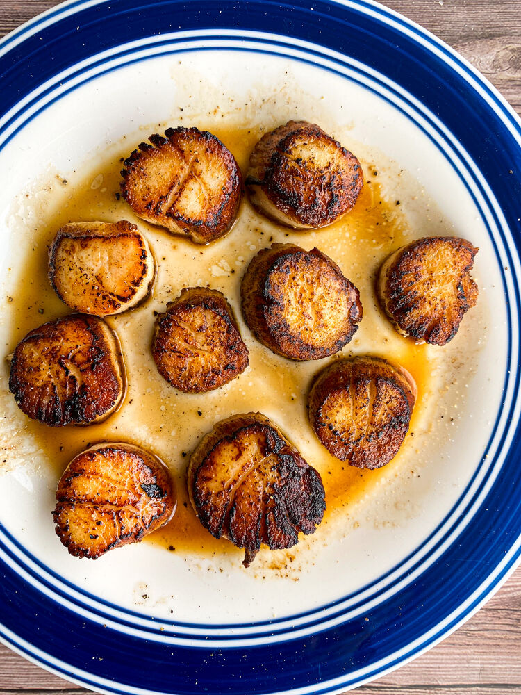 How to Cook Scallops Pan Seared Scallops Recipe The Feedfeed