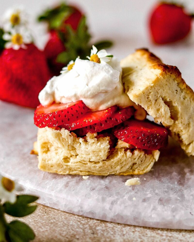 50+ of the best Strawberry Shortcake Recipes on The Feedfeed