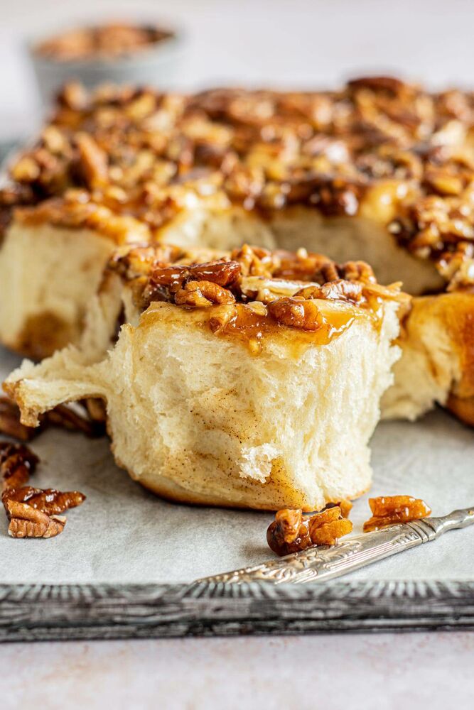 250+ of the best Buns, Rolls & Biscuits Recipes on The Feedfeed