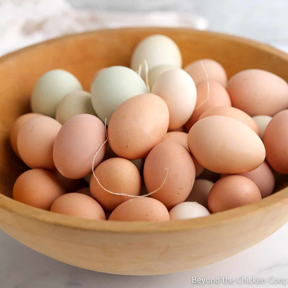 Picture of Freezing Chicken Eggs Recipe | The Feedfeed