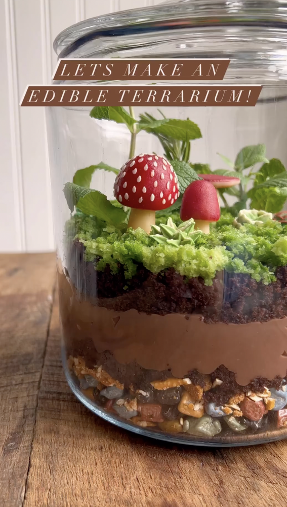 How to Make an Edible Terrarium Recipe The Feedfeed