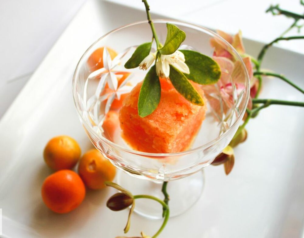 Kumquat and Calamansi Sorbet Recipe | The Feedfeed