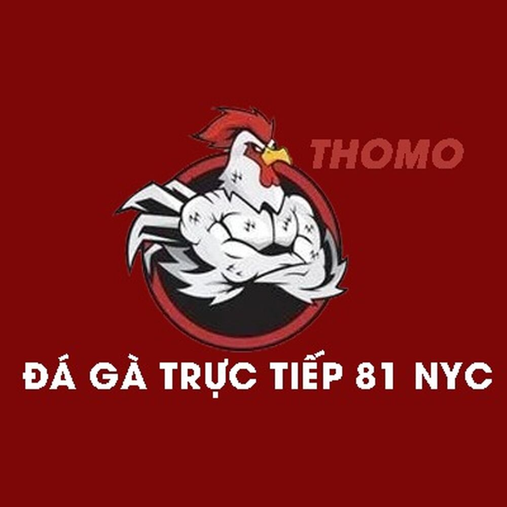 Khám phá thế giới Đá gà – Trò chơi truyền thống Việt Nam